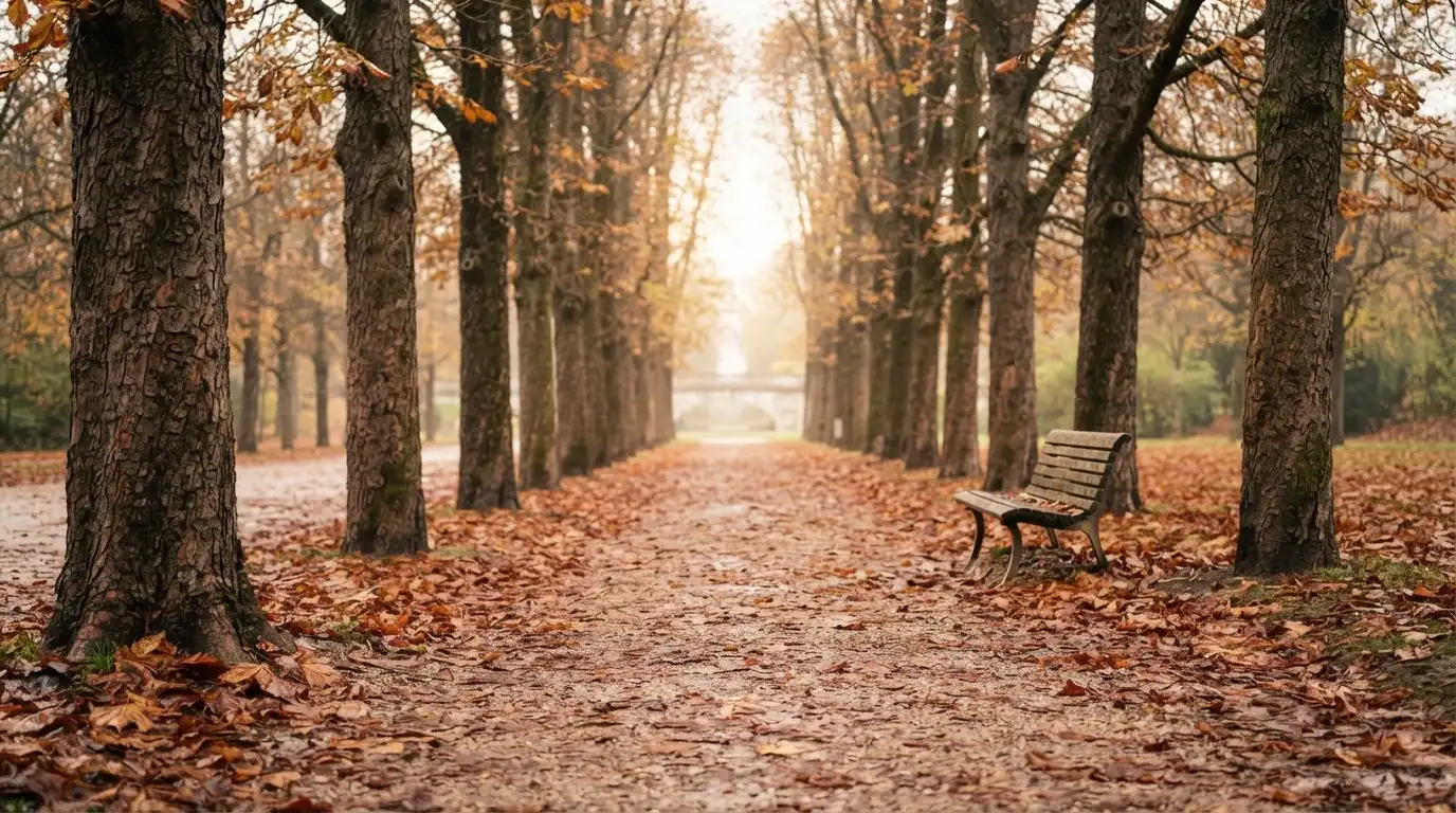 Eine Parkallee mit Kastanienbäumen und einer leeren Bank, Herbstlaub bedeckt den Kiesweg.