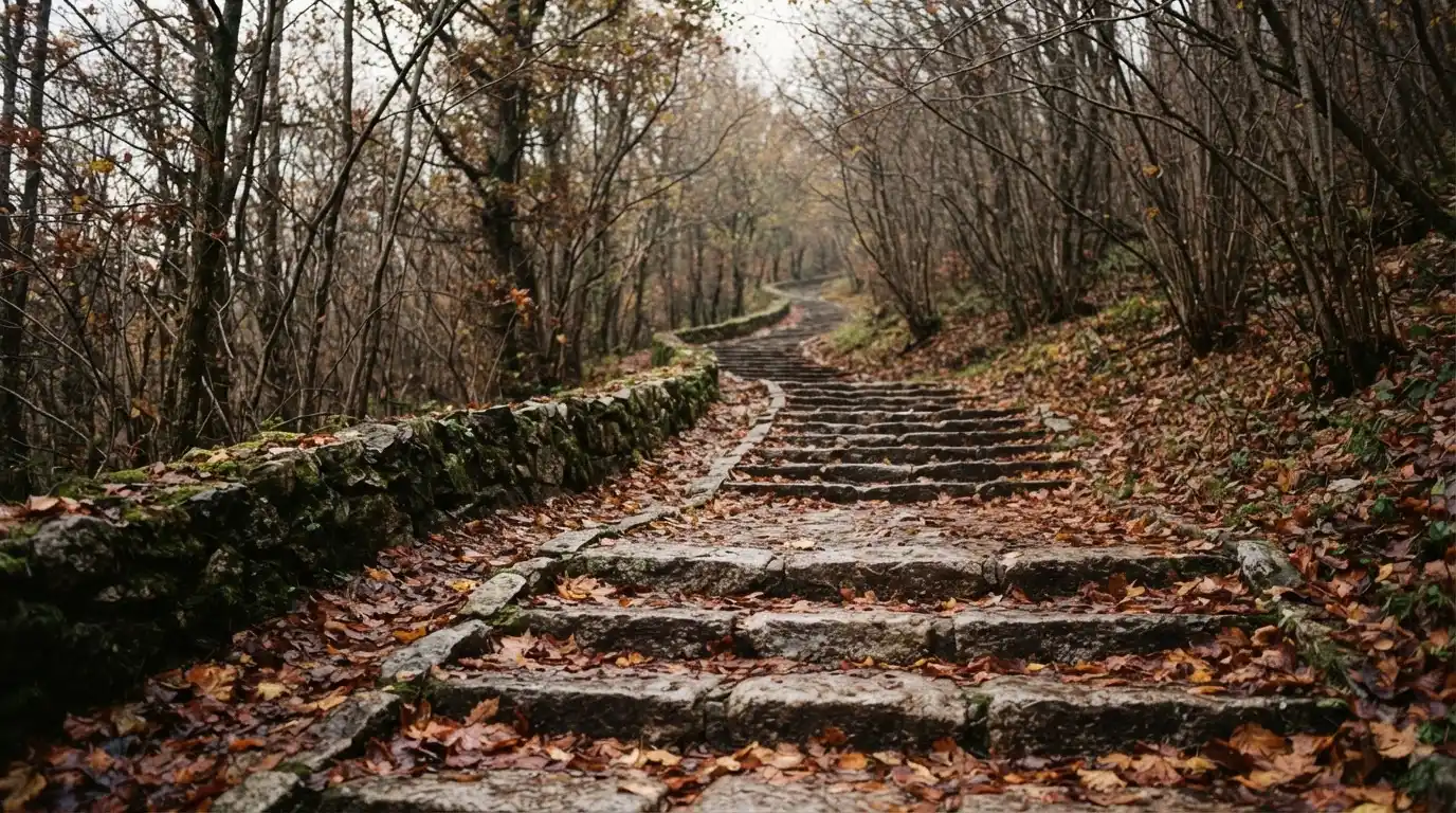 Eine Steintreppe führt einen Hügel hinauf, die Stufen sind mit Herbstlaub bedeckt und seitlich stehen kahle Bäume.