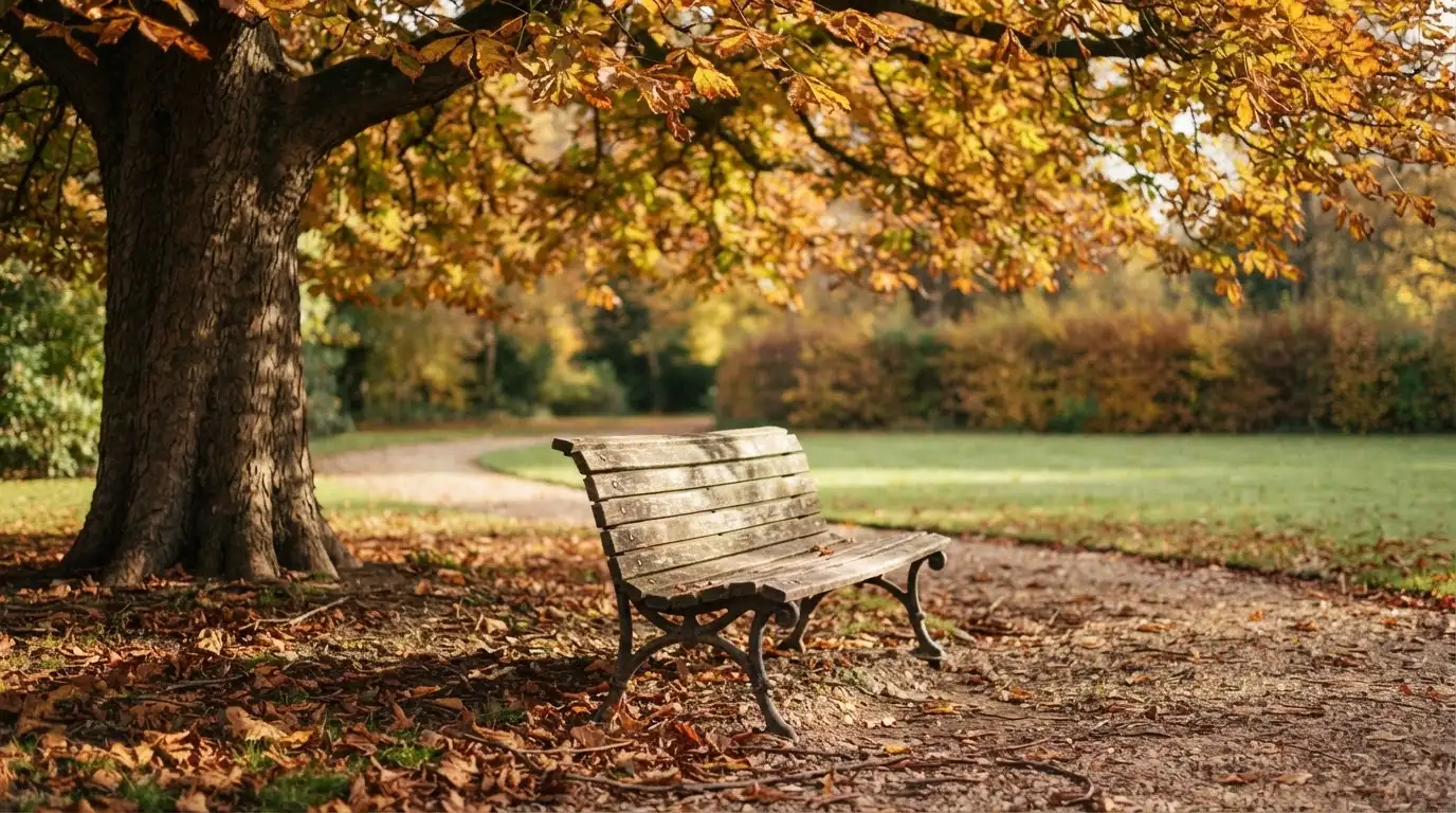 Eine Parkbank unter einer Kastanie im Herbst, auf dem Kiesweg liegen gelbe Blätter.