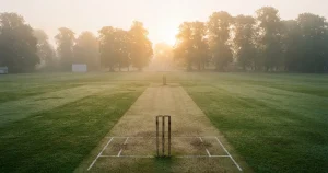 Online Cricket Wetten Schweiz 2026 – Regeln, Anbieter und Kosten