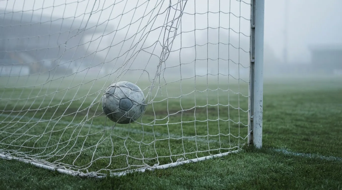 Ein Fussball liegt im Netz hinter einem Tor, weicher Morgennebel hängt über dem Rasen