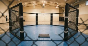 MMA Wetten Schweiz 2026 – Regeln, Anbieter und Kosten im Überblick