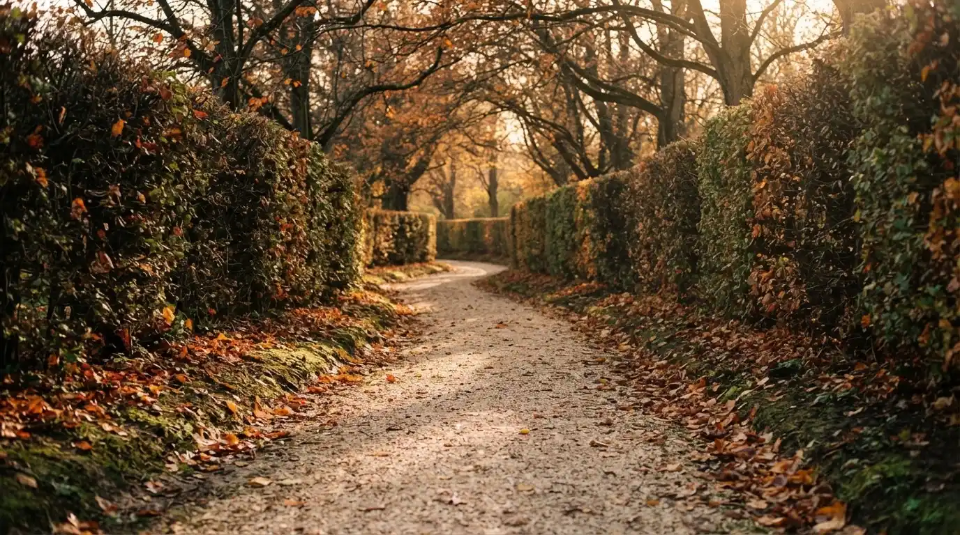 Ein schmaler Kiesweg führt zwischen zwei Hecken durch einen Park, auf dem Weg liegt Herbstlaub.